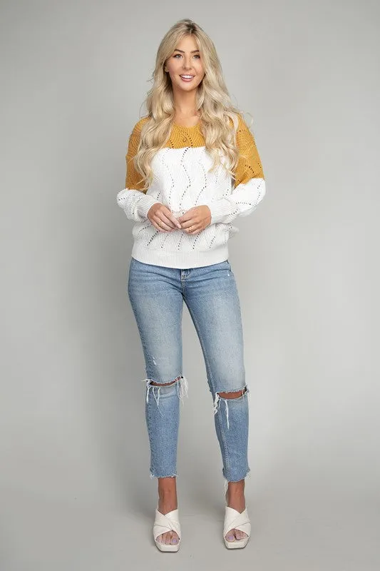Color Block V neck Knit