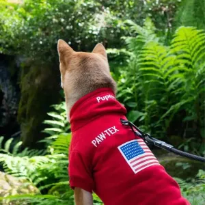 French Bulldog Adidog Hoodie - Warm Pet Clothes