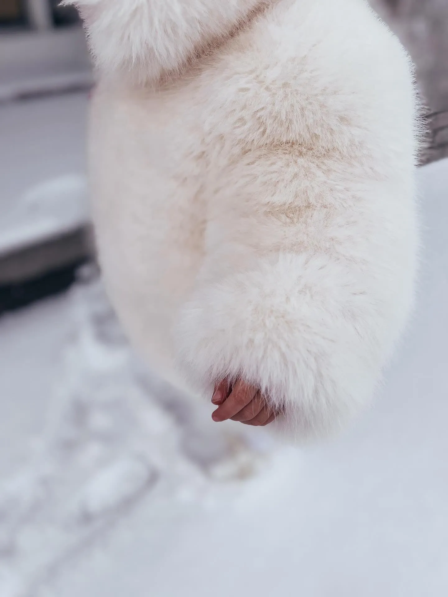 MI LOVES SIGNATURE SYNTHETIC Little Bear Bomber jacket in Ivory.