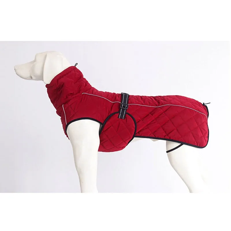 Winter Down Jacket Pet Dog Clothes