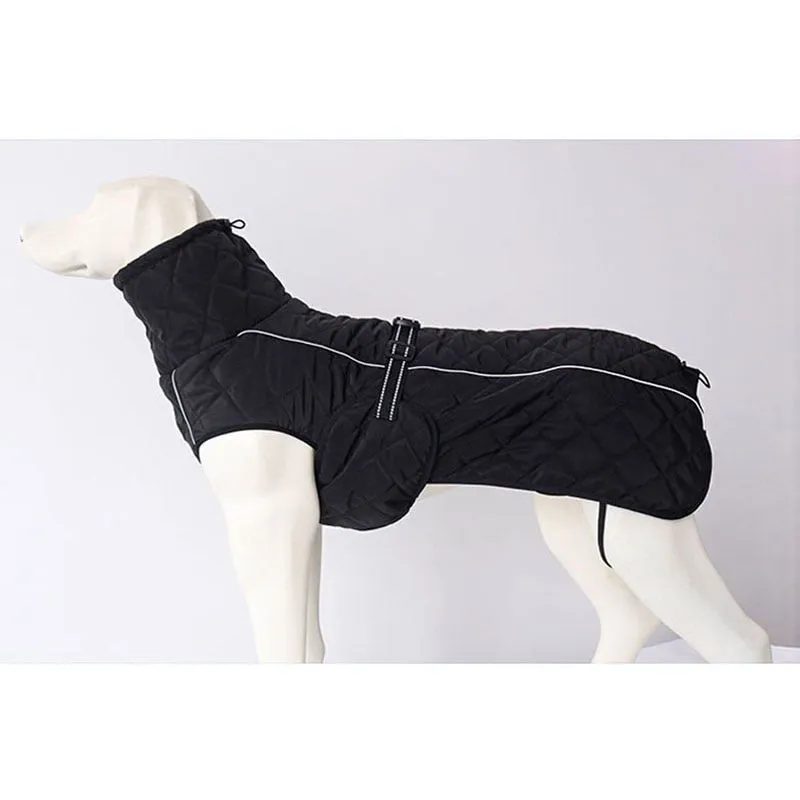 Winter Down Jacket Pet Dog Clothes