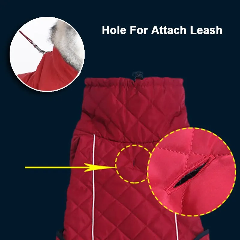 Winter Down Jacket Pet Dog Clothes