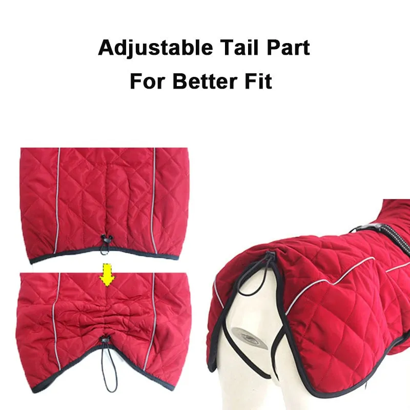 Winter Down Jacket Pet Dog Clothes